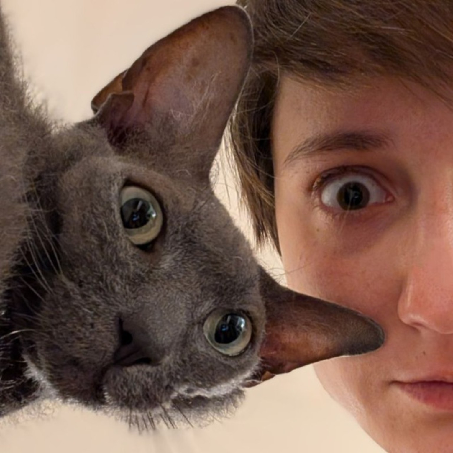 Asia Mendelevich with a cat